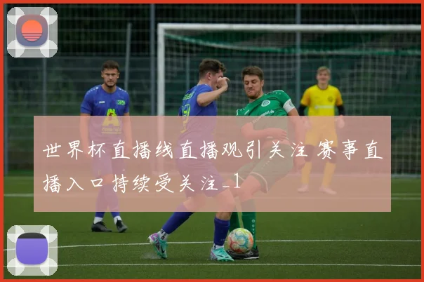 世界杯直播线直播观引关注 赛事直播入口持续受关注_1