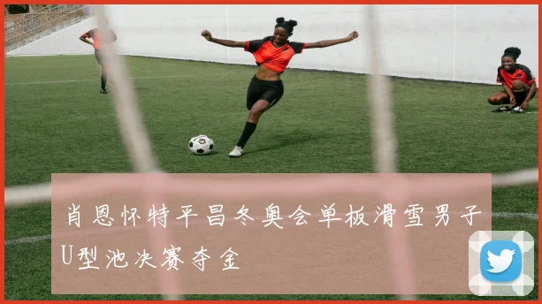 肖恩怀特平昌冬奥会单板滑雪男子U型池决赛夺金